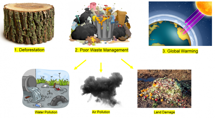 Understand The Impact Of Humans On Biodiversity Worksheet - EdPlace